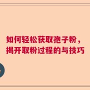 如何轻松获取孢子粉，揭开取粉过程的与技巧