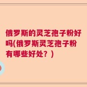 俄罗斯的灵芝孢子粉好吗(俄罗斯灵芝孢子粉有哪些好处？)