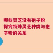 哪些灵芝没有孢子粉 探究特殊灵芝种类与孢子粉的关系