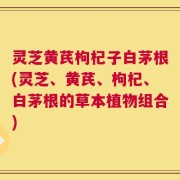 灵芝黄芪枸杞子白茅根(灵芝、黄芪、枸杞、白茅根的草本植物组合)