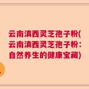 云南滇西灵芝孢子粉(云南滇西灵芝孢子粉：自然养生的健康宝藏)