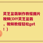 灵芝盆栽制作教程图片视频(DIY灵芝盆栽，视频教程轻松get！)