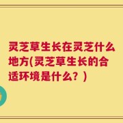 灵芝草生长在灵芝什么地方(灵芝草生长的合适环境是什么？)
