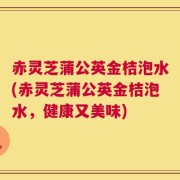 赤灵芝蒲公英金桔泡水(赤灵芝蒲公英金桔泡水，健康又美味)