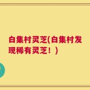 白集村灵芝(白集村发现稀有灵芝！)