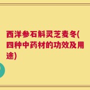 西洋参石斛灵芝麦冬(四种中药材的功效及用途)