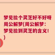 梦见捡个灵芝好不好呀周公解梦(周公解梦：梦见捡到灵芝的含义！)