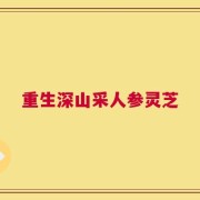 重生深山采人参灵芝