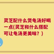灵芝配什么煲龟汤好喝一点(灵芝和什么搭配可让龟汤更美味？)