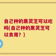 自己种的黑灵芝可以吃吗(自己种的黑灵芝可以食用？)