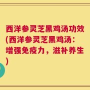 西洋参灵芝黑鸡汤功效(西洋参灵芝黑鸡汤：增强免疫力，滋补养生)