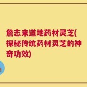 詹志来道地药材灵芝(探秘传统药材灵芝的神奇功效)