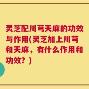 灵芝配川芎天麻的功效与作用(灵芝加上川芎和天麻，有什么作用和功效？)