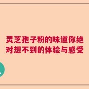 灵芝孢子粉的味道你绝对想不到的体验与感受