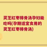 灵芝红枣排骨汤孕妇能吃吗(孕期适宜食用的灵芝红枣排骨汤)