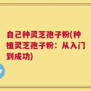 自己种灵芝孢子粉(种植灵芝孢子粉：从入门到成功)