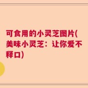 可食用的小灵芝图片(美味小灵芝：让你爱不释口)