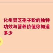化州灵芝孢子粉的独特功效与营养价值你知道多少
