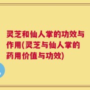 灵芝和仙人掌的功效与作用(灵芝与仙人掌的药用价值与功效)