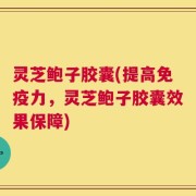 灵芝鲍子胶囊(提高免疫力，灵芝鲍子胶囊效果保障)