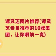 谭灵芝图片推荐(谭灵芝亲自推荐的10张美图，让你眼前一亮)