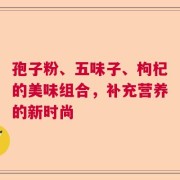 孢子粉、五味子、枸杞的美味组合，补充营养的新时尚