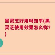 黑灵芝好用吗知乎(黑灵芝使用效果怎么样？)