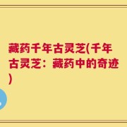 藏药千年古灵芝(千年古灵芝：藏药中的奇迹)
