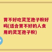 胃不好吃灵芝孢子粉好吗(适合胃不好的人食用的灵芝孢子粉)