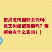 把灵芝树锯断会死吗(灵芝树能被锯断吗？锯断会有什么影响？)