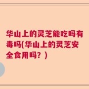 华山上的灵芝能吃吗有毒吗(华山上的灵芝安全食用吗？)