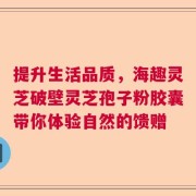 提升生活品质，海趣灵芝破壁灵芝孢子粉胶囊带你体验自然的馈赠