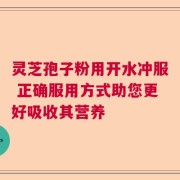 灵芝孢子粉用开水冲服 正确服用方式助您更好吸收其营养