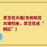 灵芝花大姐(市民盼花大姐归来，灵芝花成“网红”)