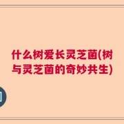 什么树爱长灵芝菌(树与灵芝菌的奇妙共生)