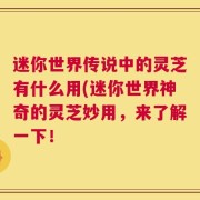 迷你世界传说中的灵芝有什么用(迷你世界神奇的灵芝妙用，来了解一下！