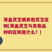 薄盖灵芝跟其他灵芝区别(薄盖灵芝与其他品种的区别是什么？)