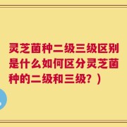 灵芝菌种二级三级区别是什么如何区分灵芝菌种的二级和三级？)