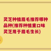 灵芝种植眉毛推荐哪种品种(推荐种植重口味灵芝用于眉毛生长)