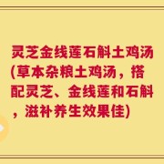 灵芝金线莲石斛土鸡汤(草本杂粮土鸡汤，搭配灵芝、金线莲和石斛，滋补养生效果佳)