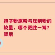 孢子粉原粉与压制粉的较量，哪个更胜一筹？背后