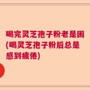 喝完灵芝孢子粉老是困(喝灵芝孢子粉后总是感到疲倦)
