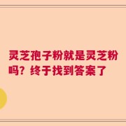 灵芝孢子粉就是灵芝粉吗？终于找到答案了