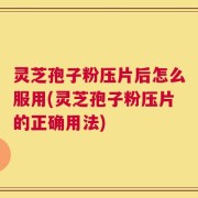 灵芝孢子粉压片后怎么服用(灵芝孢子粉压片的正确用法)