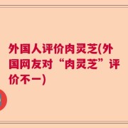 外国人评价肉灵芝(外国网友对“肉灵芝”评价不一)