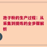 孢子粉的生产过程：从采集到提炼的全步骤解析