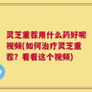 灵芝重茬用什么药好呢视频(如何治疗灵芝重茬？看看这个视频)