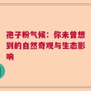 孢子粉气候：你未曾想到的自然奇观与生态影响