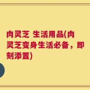 肉灵芝 生活用品(肉灵芝变身生活必备，即刻添置)