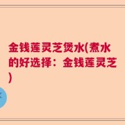金钱莲灵芝煲水(煮水的好选择：金钱莲灵芝)